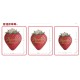 Morning Glory A Strawberry Bag(Pre-Order)